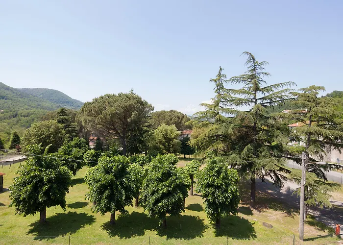 酒店 内拉酒店 3*