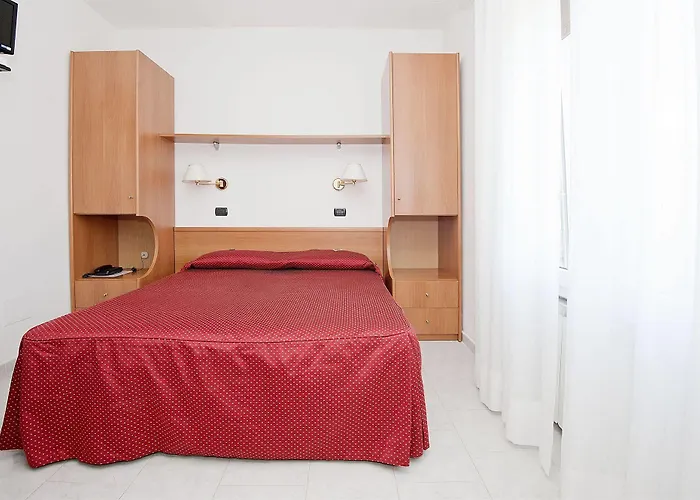 酒店 内拉酒店 3*