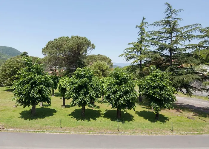 内拉酒店 酒店 3*